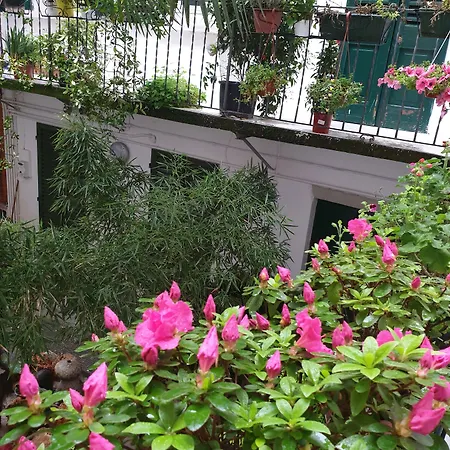 La Casa Di Daniele بيت ضيافة بريشا
