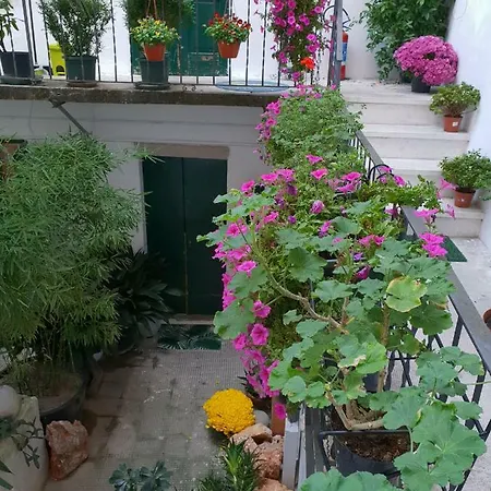 La Casa Di Daniele Guest house