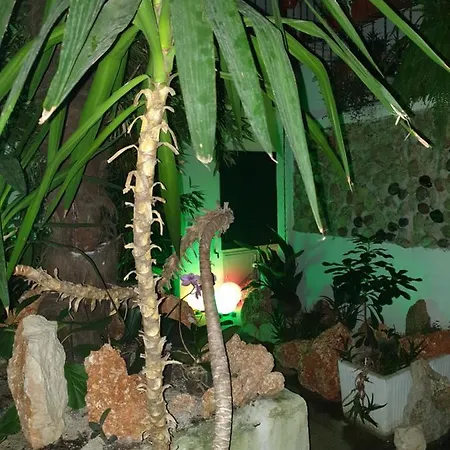 La Casa Di Daniele Pensjonat