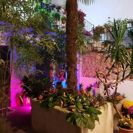 La Casa Di Daniele Guest house