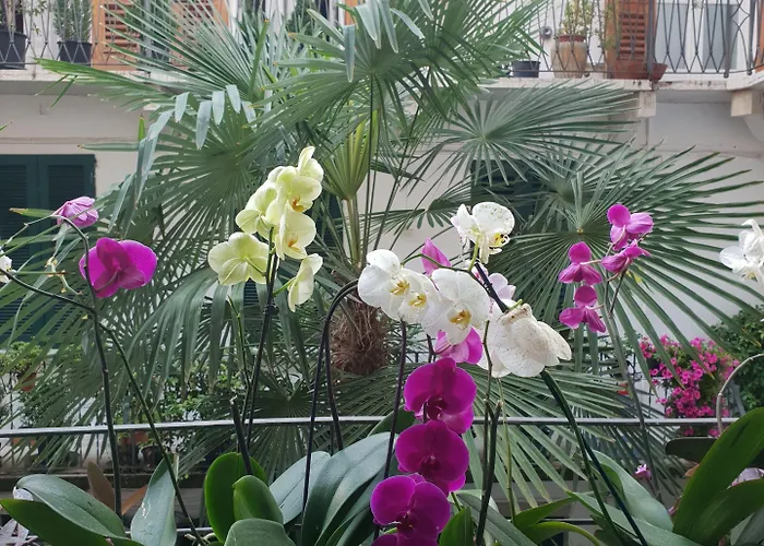 בית הארחה La Casa Di Daniele ברשה