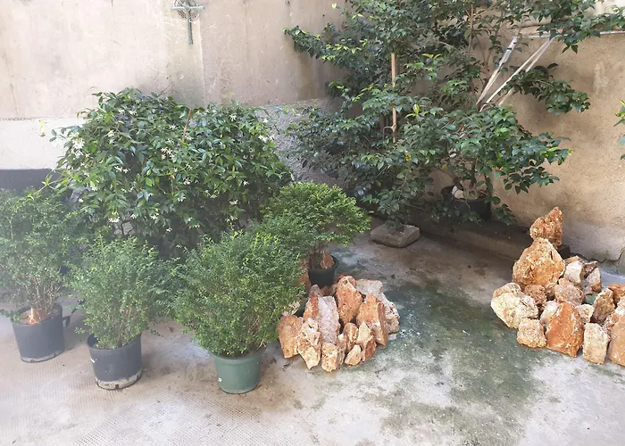 בית הארחה La Casa Di Daniele 3*