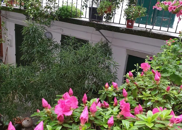 La Casa Di Daniele Konukevi Brescia