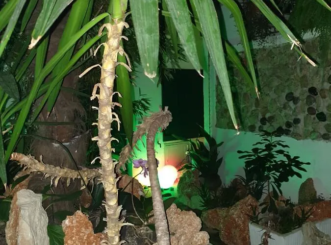 La Casa Di Daniele Konukevi